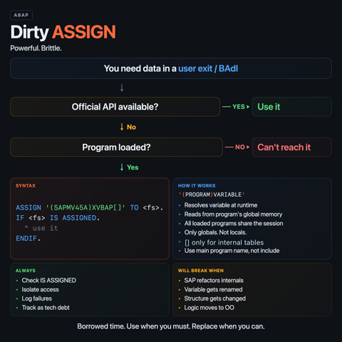 Dirty Assign: The ABAP Trick SAP Doesn't Want You to Know infographic